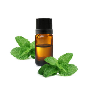 Huile Essentielle de Menthe Poivrée