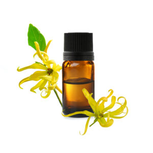 Huile Essentielle de Ylang ylang
