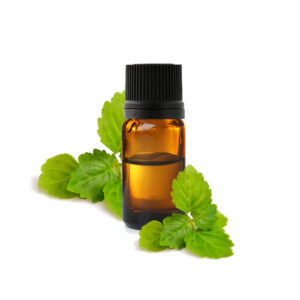 Huile Essentielle de Patchouli